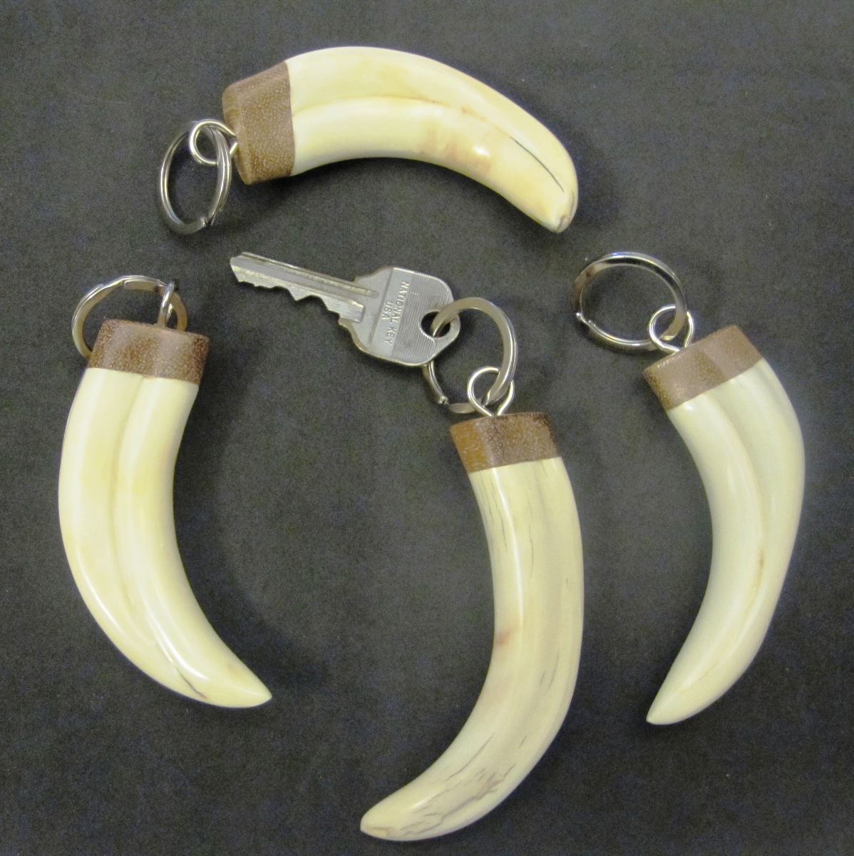 Warthog Tusk Keychain, Natural